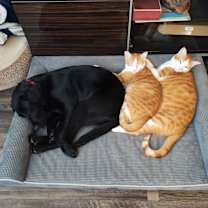 Thumbnail photo of Fred #4
