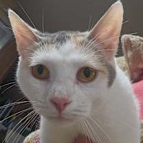 Thumbnail photo of Layna #1