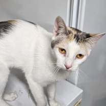 Thumbnail photo of Layna #4