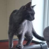 Thumbnail photo of Jim #2