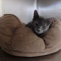 Thumbnail photo of Jim #3