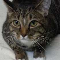 Thumbnail photo of Perry #1