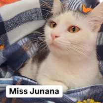 Thumbnail photo of Miss Junana at Martinez Pet Food Express  April 26 #4