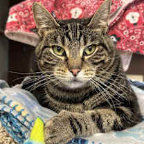 Thumbnail photo of Penelope #1
