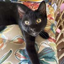 Thumbnail photo of Tina #1