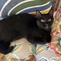 Thumbnail photo of Tina #2