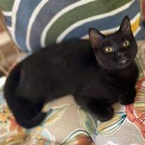 Thumbnail photo of Tina #3