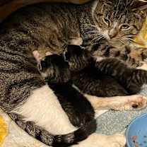 Thumbnail photo of Holly Berry (I'm in foster care!) #3