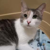 Thumbnail photo of ELSIE #4