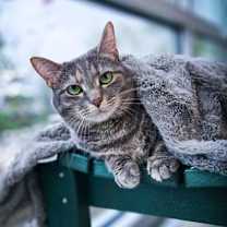 Thumbnail photo of Kaia #1