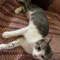 Thumbnail photo of Lenore #2
