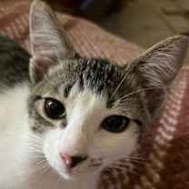 Thumbnail photo of Lenore #3