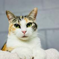 Thumbnail photo of CASEY #2