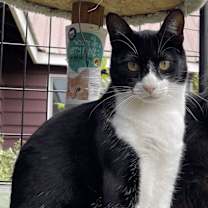 Thumbnail photo of Oscar #1