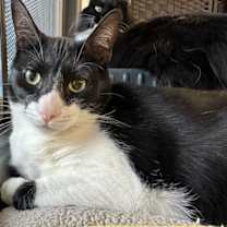 Thumbnail photo of Oscar #2