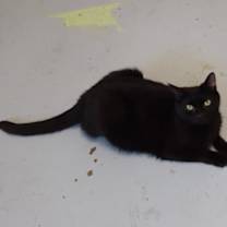Thumbnail photo of Kaia #1