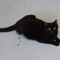 Thumbnail photo of Kaia #2