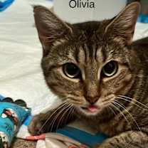 Thumbnail photo of Olivia 3 #2