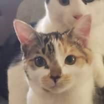 Thumbnail photo of George and Nora #1