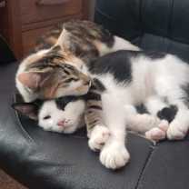 Thumbnail photo of George and Nora #2