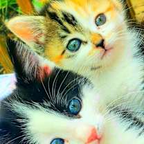 Thumbnail photo of George and Nora #3