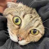 Thumbnail photo of Toaster #2
