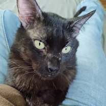 Thumbnail photo of Ricky #2