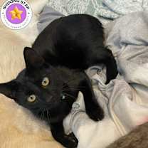 Thumbnail photo of Max #1