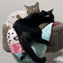 Thumbnail photo of Max #3
