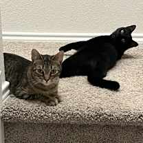 Thumbnail photo of Max #4