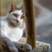 Thumbnail photo of Mr. Montgomery #4