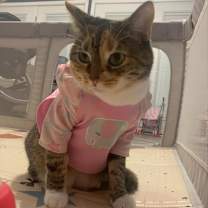 Thumbnail photo of Natty #1