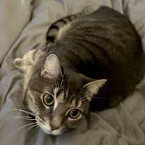 Thumbnail photo of Matcha #2