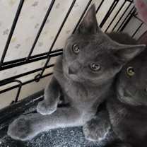 Thumbnail photo of Faith #3