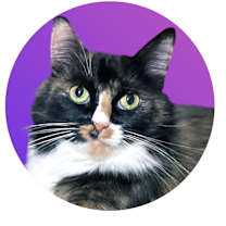Thumbnail photo of Minerva #1