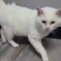 Thumbnail photo of Yeti #3