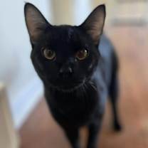 Thumbnail photo of Buddy #1
