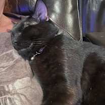 Thumbnail photo of Buddy #2