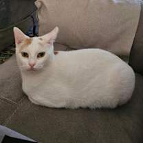 Thumbnail photo of Abigail (mom) #1