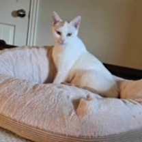 Thumbnail photo of Abigail (mom) #2