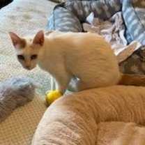 Thumbnail photo of Abigail (mom) #3