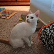 Thumbnail photo of Abigail (mom) #4