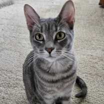 Thumbnail photo of Tracy #1