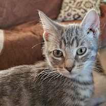 Thumbnail photo of Tracy #2