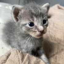Thumbnail photo of Tracy #3
