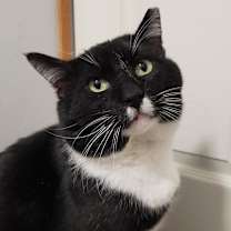 Thumbnail photo of Spunky #1