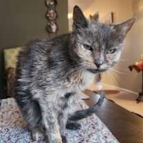 Thumbnail photo of Margaret #1