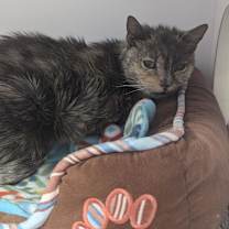 Thumbnail photo of Margaret #3