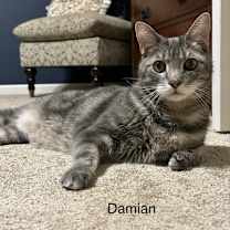 Thumbnail photo of Damien #3