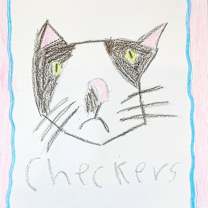 Thumbnail photo of Checkers #2